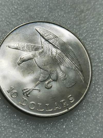 天下钱庄专场欢迎参拍 - 新加坡海鹰10元银币