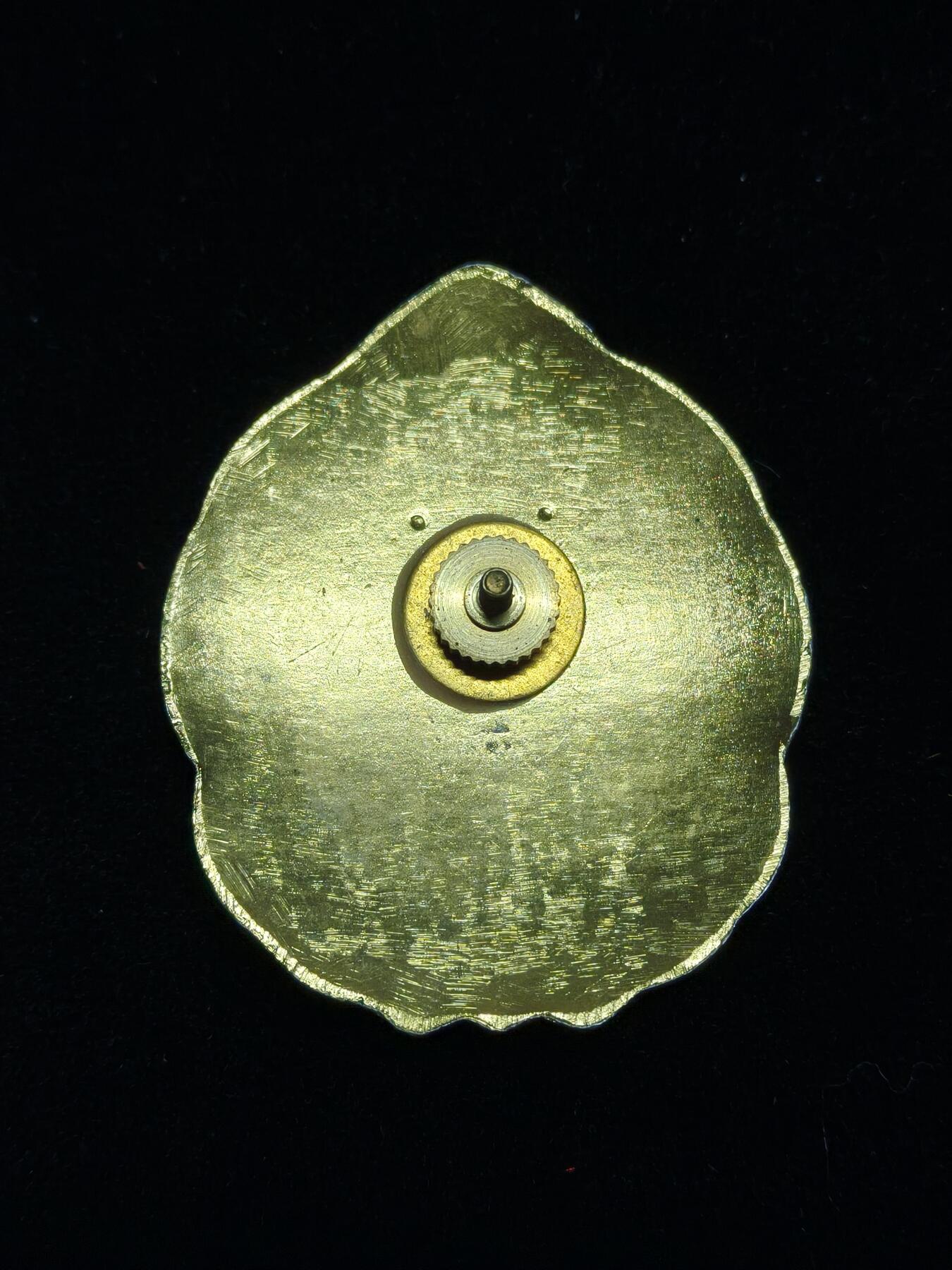 2026新年第一场  台湾宪兵帽徽 2