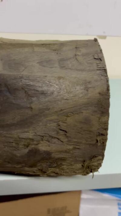 零元拍：满金丝祖母绿级别 阴沉木 金丝楠墩子老料 做凳子 做茶台  满肉满金丝 果香满满 尺寸：23.5/22/23CM。8.5公斤。