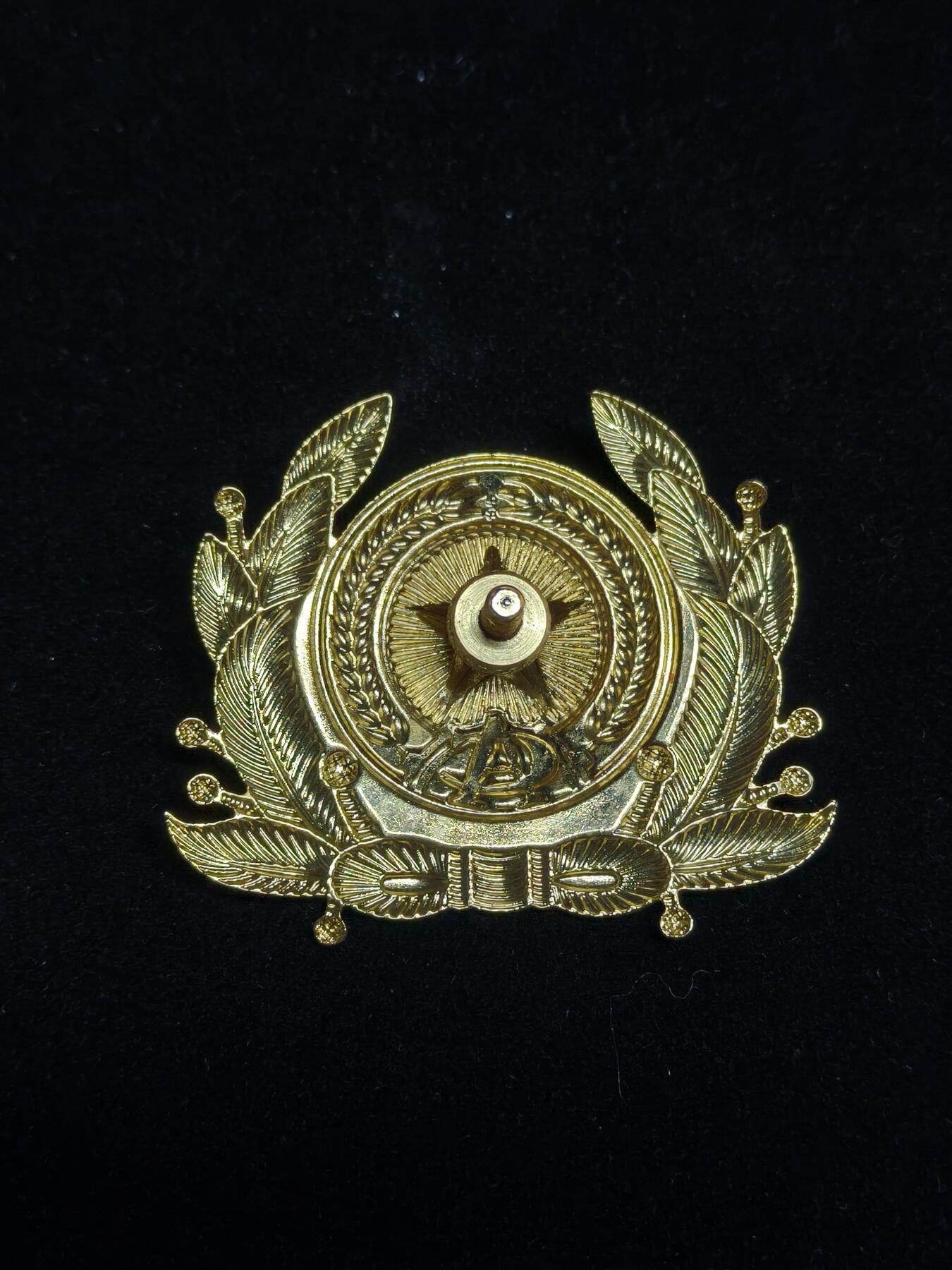 2026新年第一场  越南公安帽徽 铜镀金