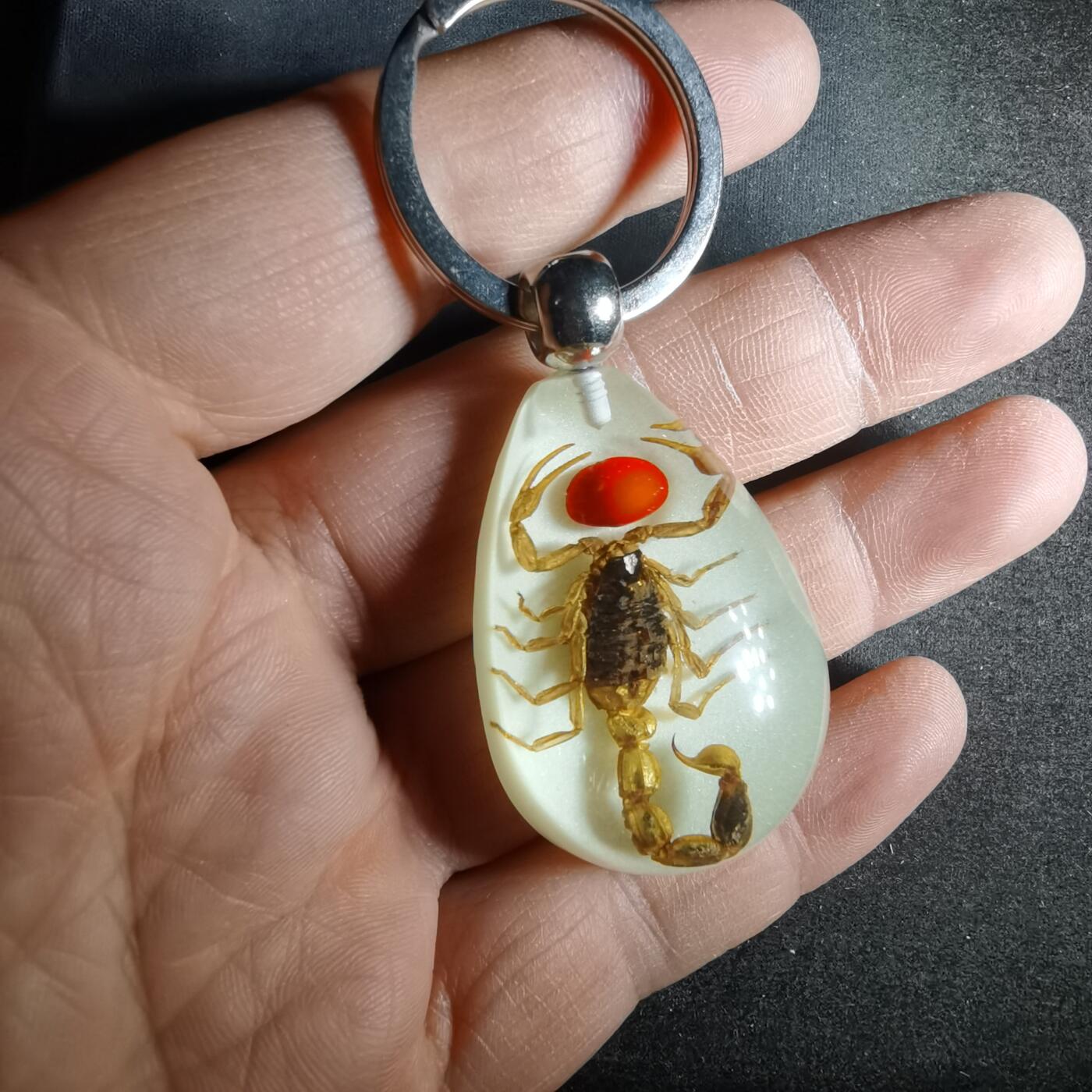 沼泽如烟--第987场 蝎子挂件