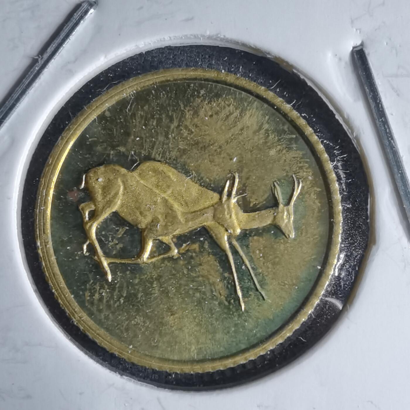 沼泽如烟--第987场 币形章