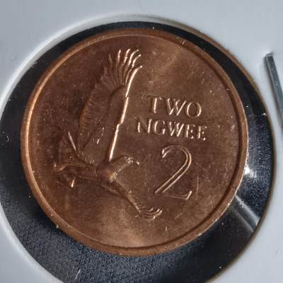 沼泽如烟--第987场 - 赞比亚1983年2恩韦