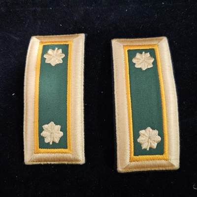 0元起拍勋章 第332期 咸鱼国勋章拍卖专场 2月8日（周日）下午6：00开始 - 美国陆军礼服校官肩章