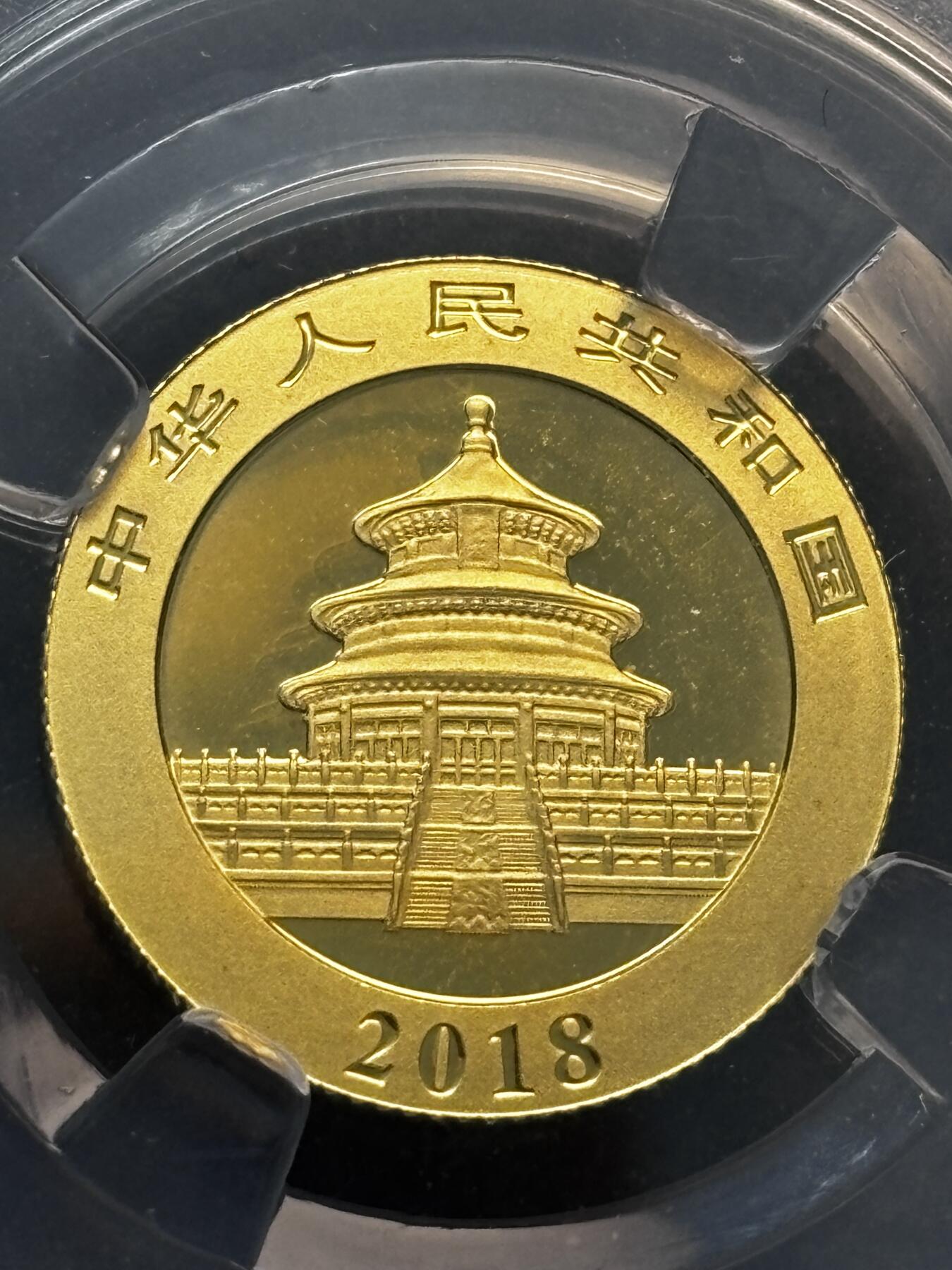 【金马踏春，泉马奔腾】2026 年新年贺岁场，（定于年初五接财神截拍）祝各位老板马到成功，马上有钱，愿岁岁平安喜乐顺遂