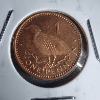 沼泽如烟--第987场 - 直布罗陀1996年1便士