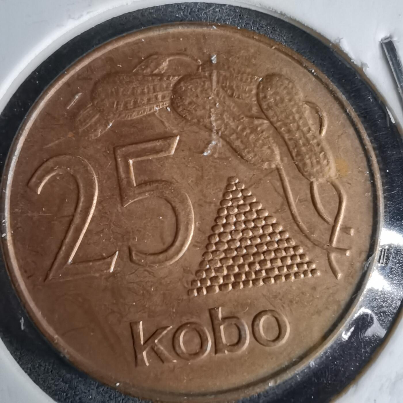 沼泽如烟--第987场