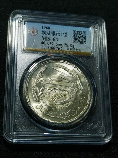 天下钱庄专场欢迎参拍 - 埃及1磅银币