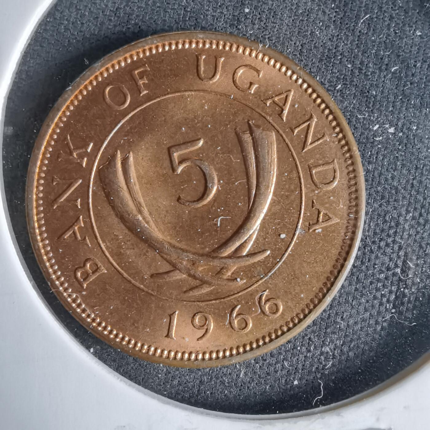 沼泽如烟--第987场