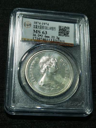 天下钱庄专场欢迎参拍 - 加拿大1加元银币