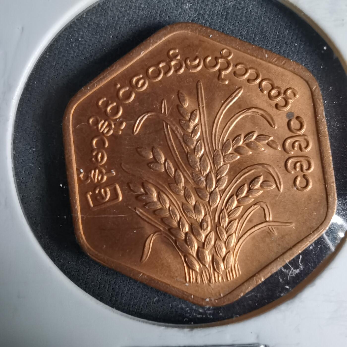 沼泽如烟--第987场 缅甸