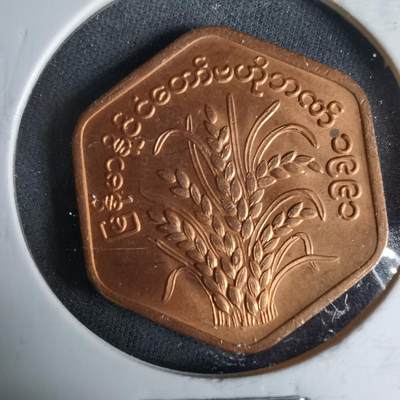 沼泽如烟--第987场 - 缅甸