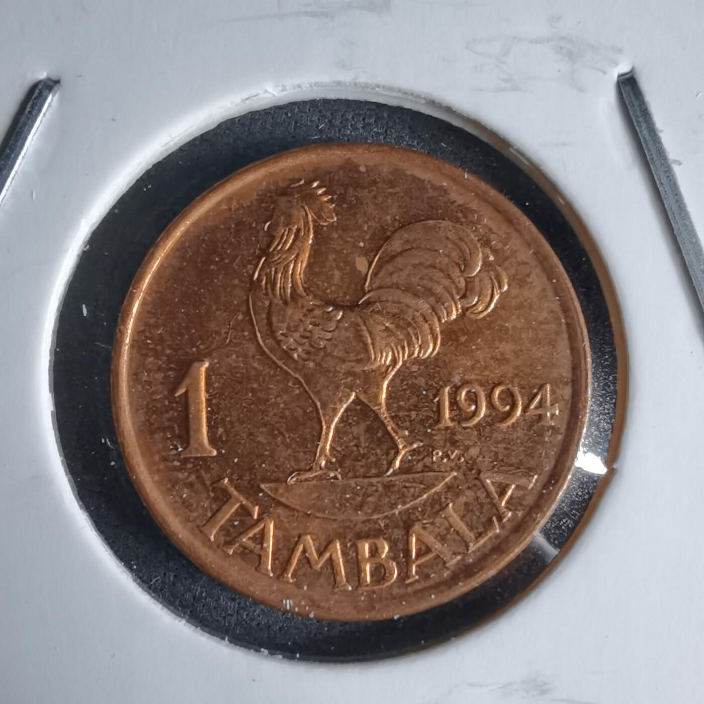 沼泽如烟--第987场 马拉维1994年1坦巴拉