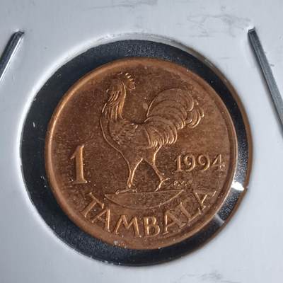 沼泽如烟--第987场 - 马拉维1994年1坦巴拉