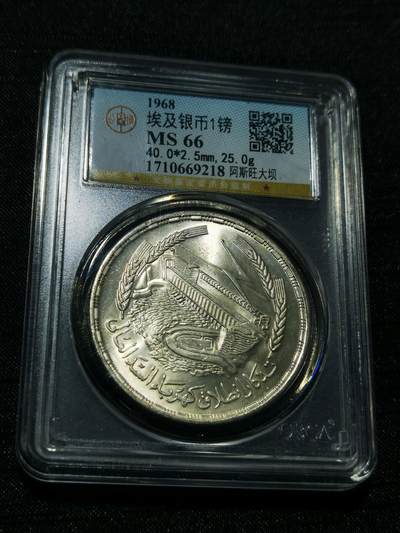 天下钱庄专场欢迎参拍 - 埃及1磅银币