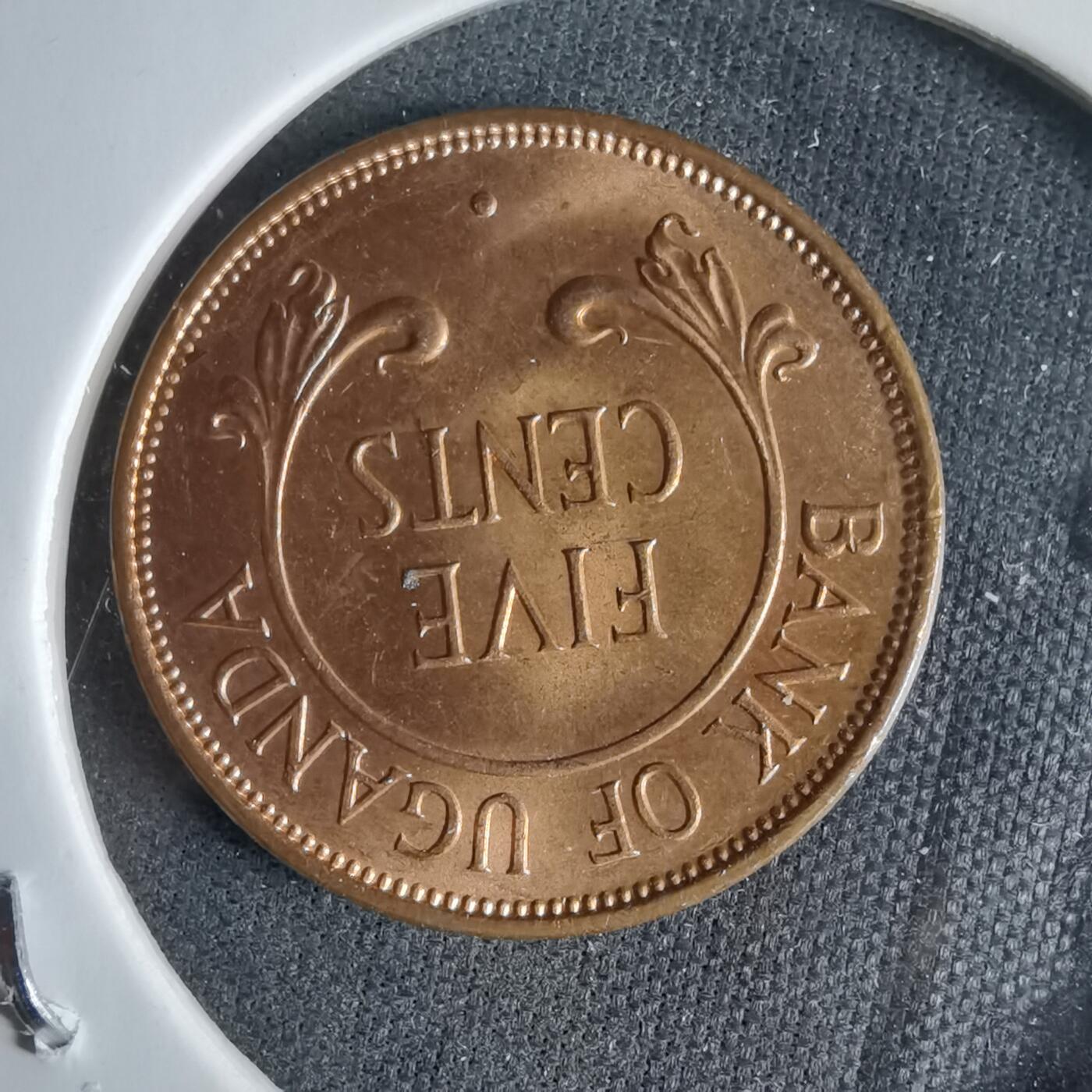 沼泽如烟--第987场