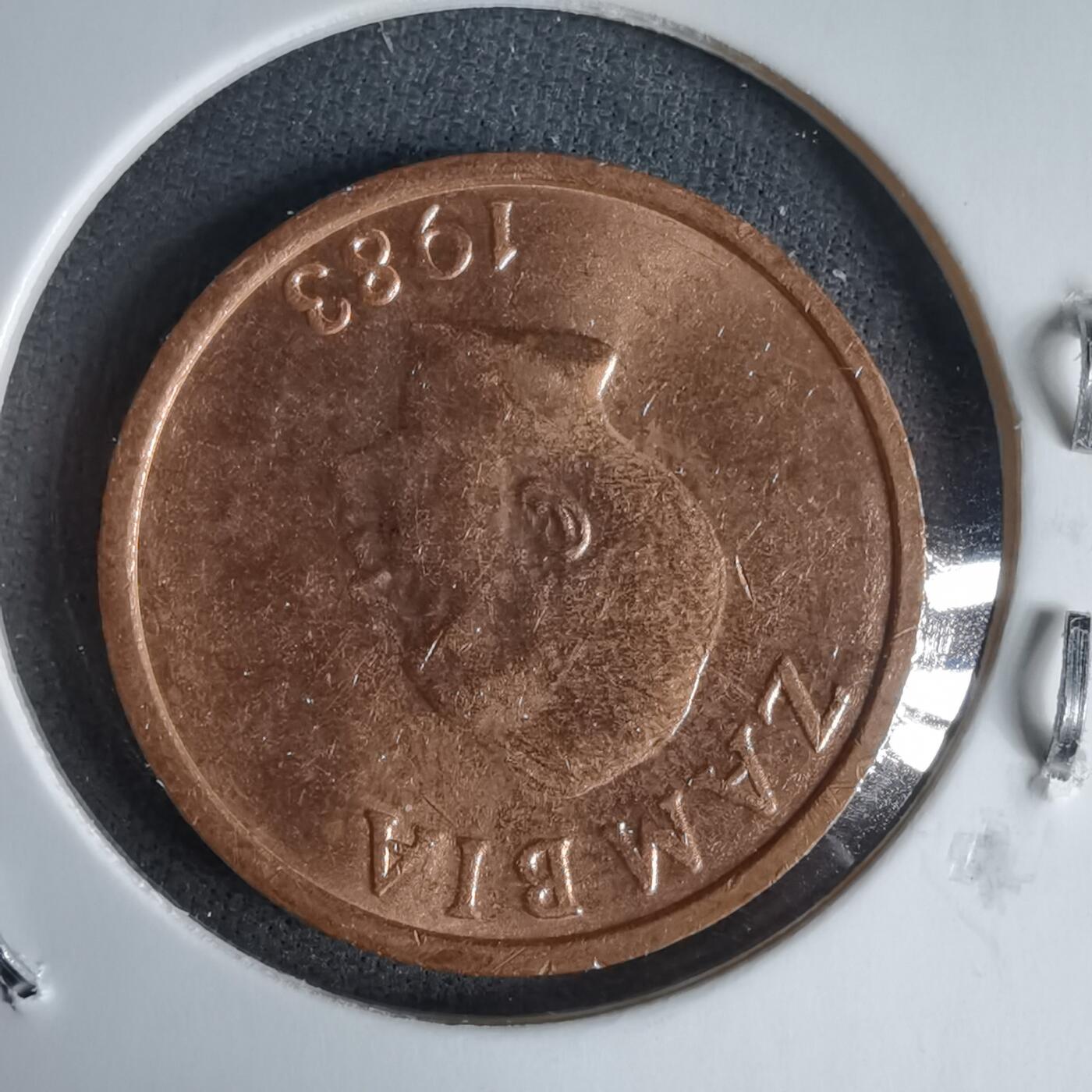 沼泽如烟--第987场