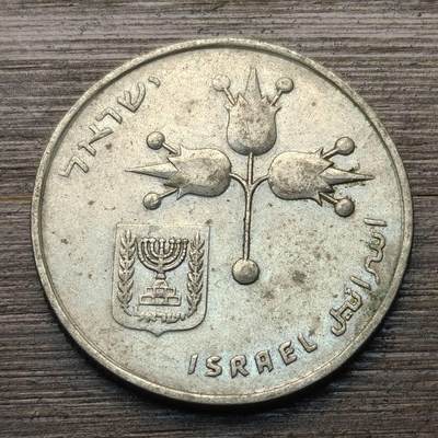 【铜匠收藏】★第147★散币专场 不寄存，30包邮。不满30元，支付5元运费。《接受代拍 代送NGC评级》 72【无寄存】以色列 1里拉 石榴树枝