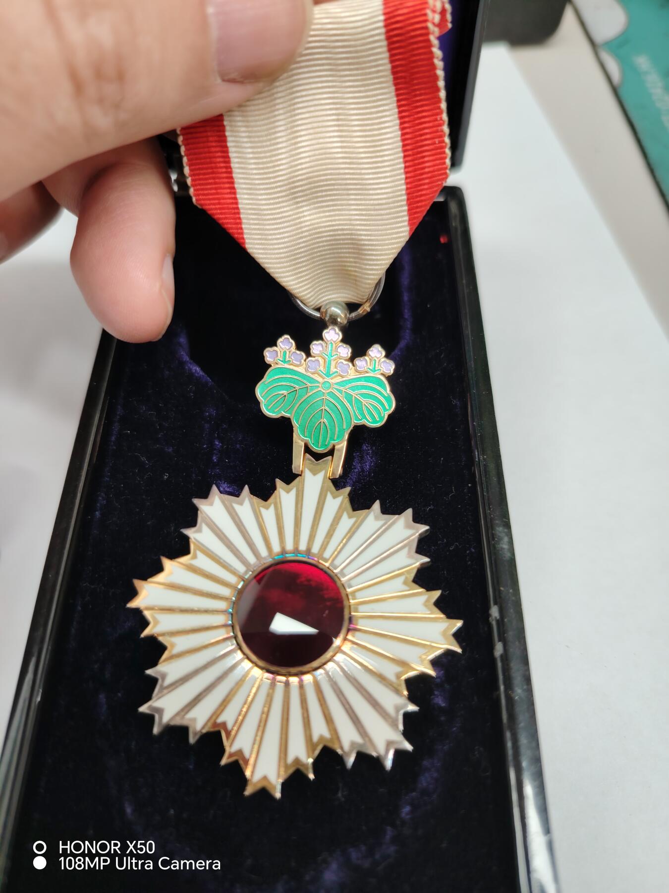 城南花开💐💐💐86场（节后发货）