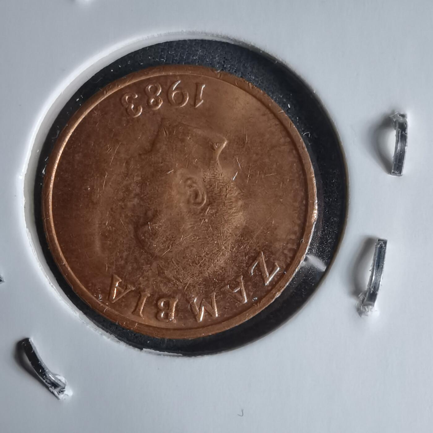 沼泽如烟--第987场