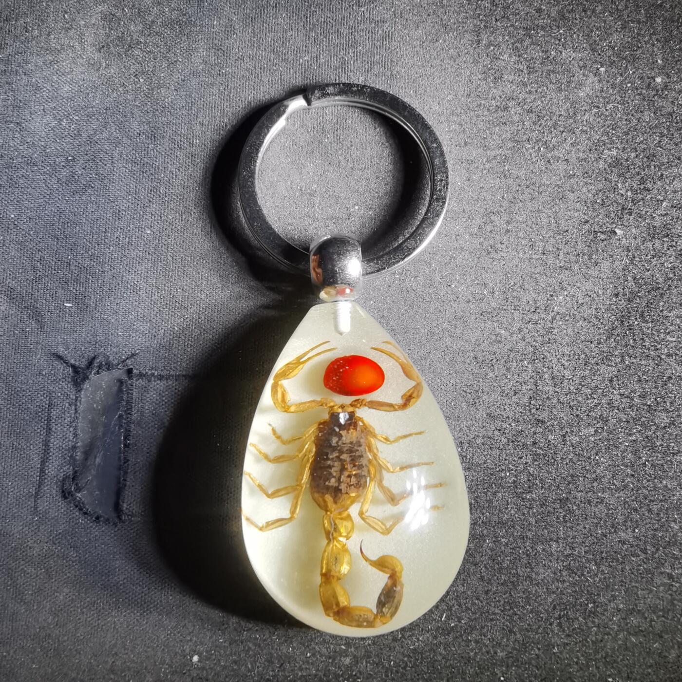 沼泽如烟--第987场 蝎子挂件