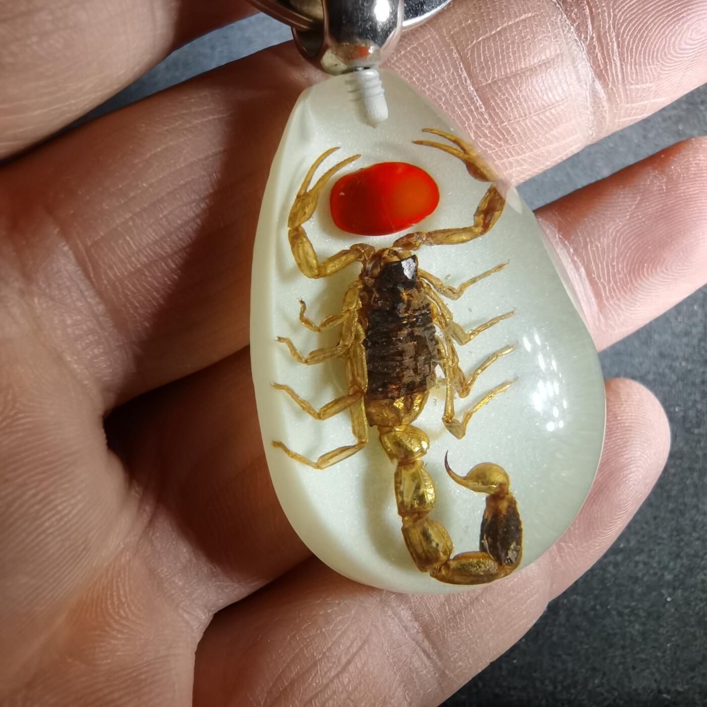 沼泽如烟--第987场 蝎子挂件