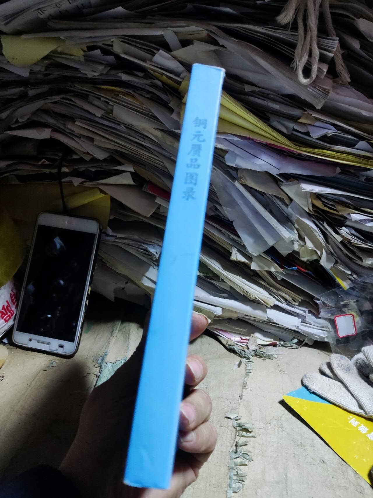 铜元赝品图录2017年版（8品左右）