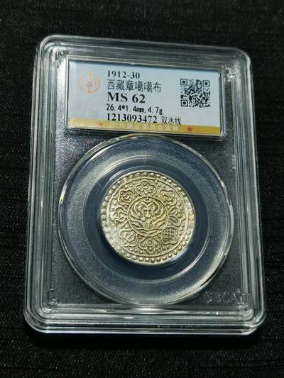天下钱庄专场欢迎参拍 - 西藏章噶银币