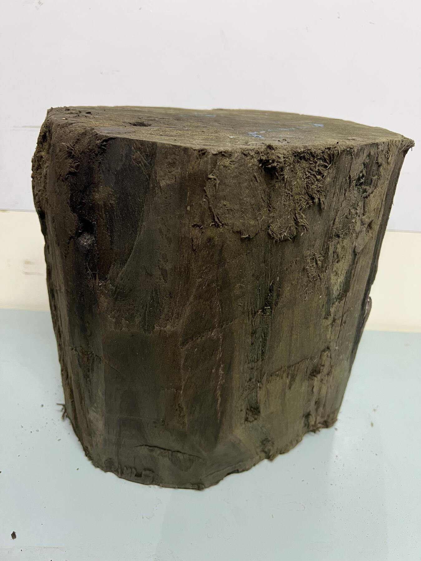 零元拍：满金丝祖母绿级别 阴沉木 金丝楠墩子老料 做凳子 做茶台  满肉满金丝 果香满满 尺寸：23.5/22/23CM。8.5公斤。