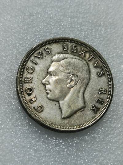 天下钱庄专场欢迎参拍 - 英属南非银币