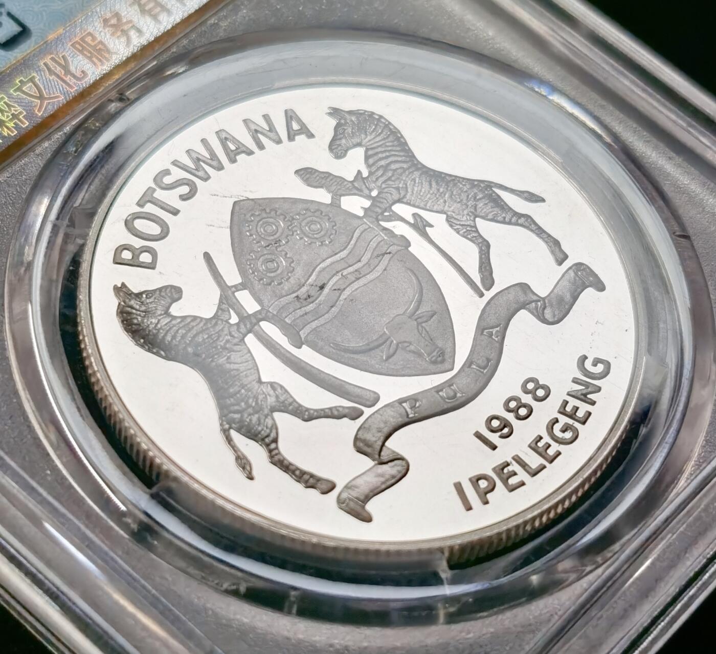 甄臻铺-世界币章拍卖（第49期）精品场拍品征集中，送拍享返佣金等优惠多多