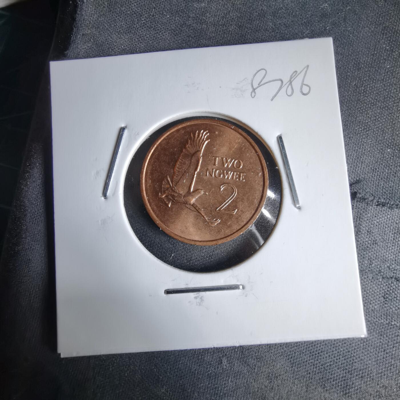 沼泽如烟--第987场