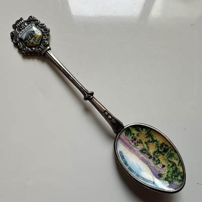 🌹外币初藏🌹🐯2026年第17场 快递将在12号停运 年前需发货的抓紧 ，年后正月十五恢复发货 - 小勺咖啡勺工艺勺—3