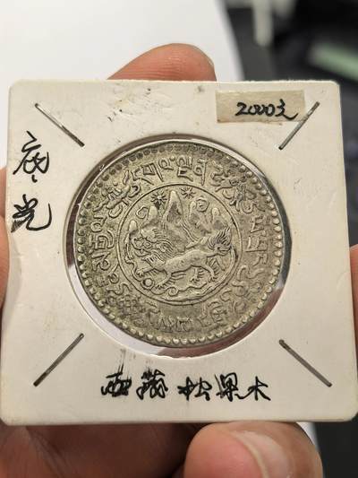 博洋堂蛇年收官专场暨第161期（全场包邮） - 原味带底光西藏桑松果木银币