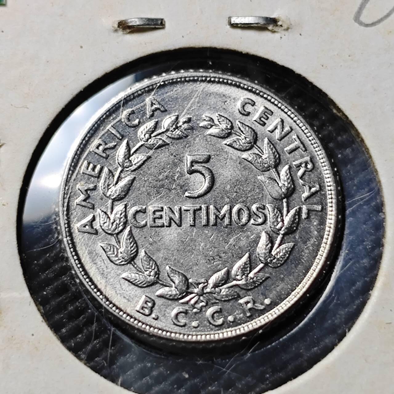 KK钱币收藏小铺  第394期  2月预留时间 周末发货