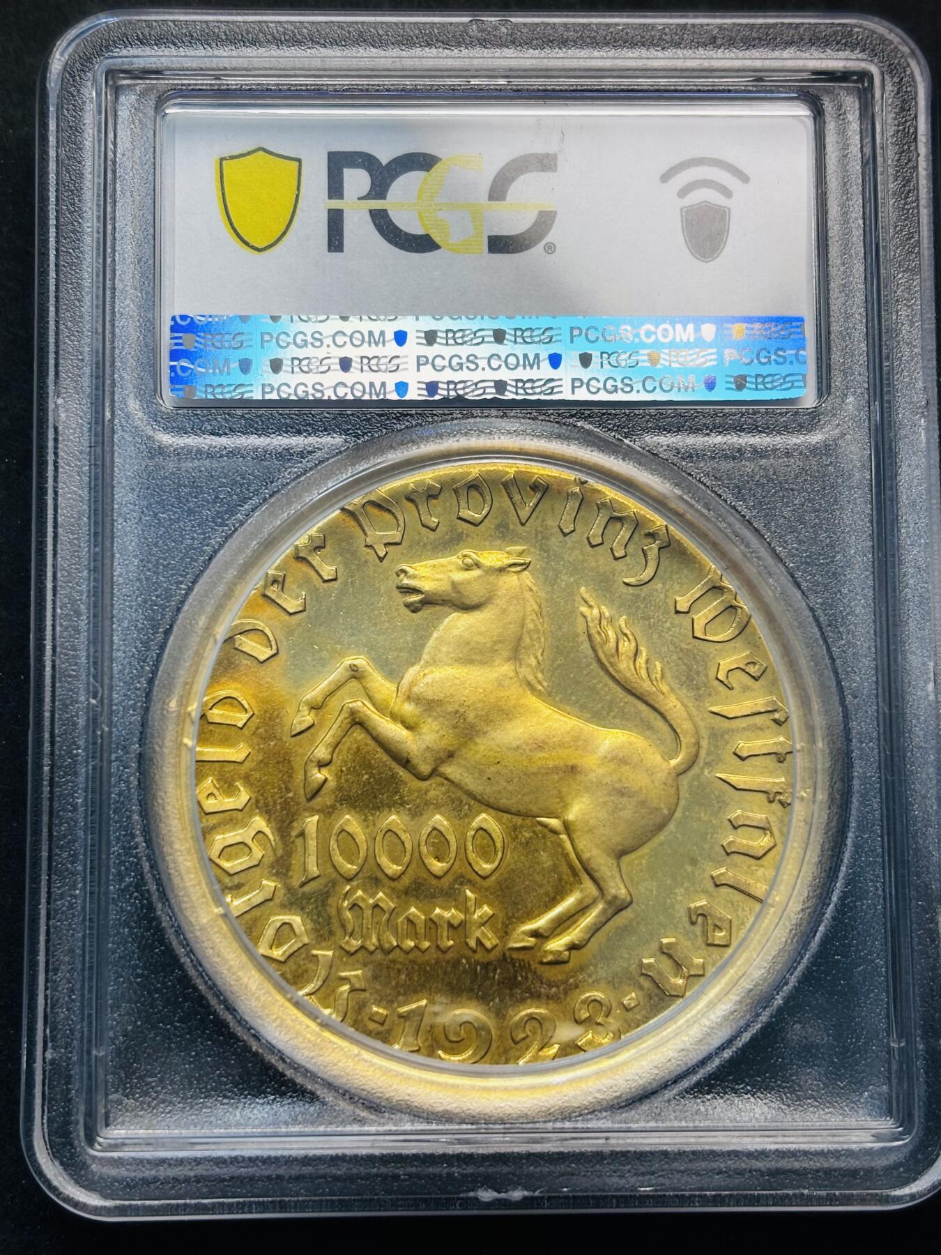 【金马踏春，泉马奔腾】2026 年新年贺岁场，（定于年初五接财神截拍）祝各位老板马到成功，马上有钱，愿岁岁平安喜乐顺遂