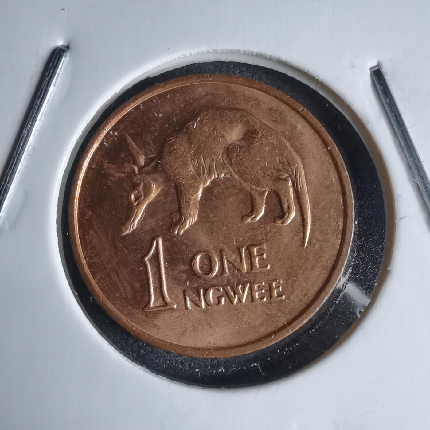 沼泽如烟--第987场