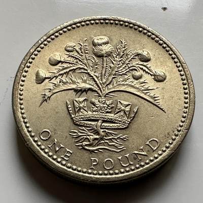 🌹外币初藏🌹🐯2026年第17场 快递将在12号停运 年前需发货的抓紧 ，年后正月十五恢复发货 - 英国1984年一英镑 原光好品