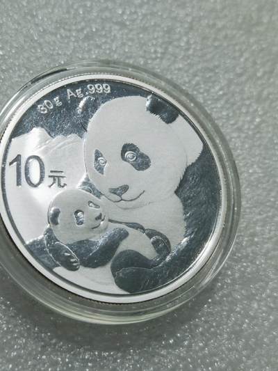 天下钱庄专场欢迎参拍 - 2019熊猫银币