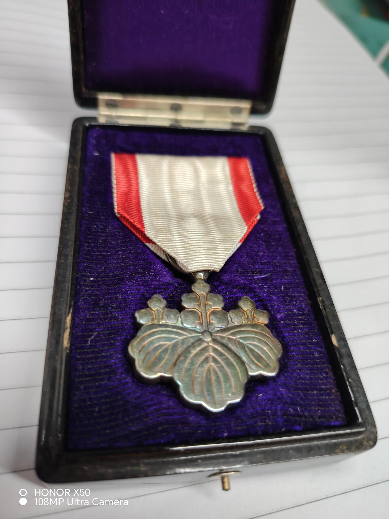 城南花开💐💐💐86场（节后发货） 银叶子带盒