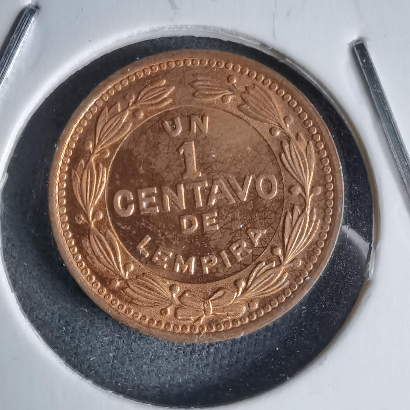 沼泽如烟--第987场 洪都拉斯1992年一分