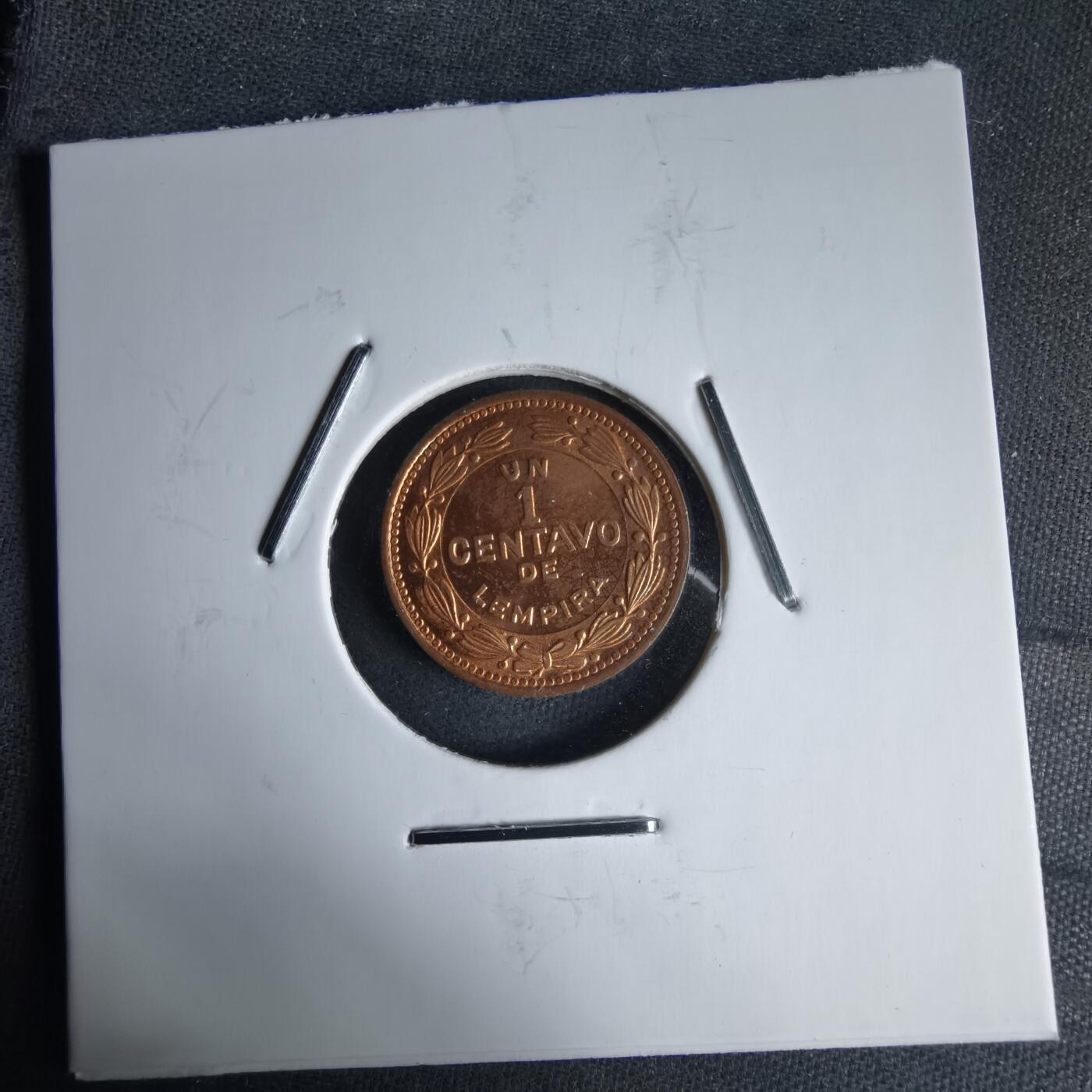 沼泽如烟--第987场 洪都拉斯1992年一分