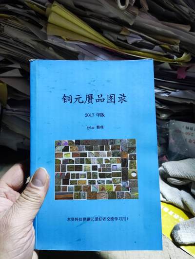 铜元赝品图录2017年版（8品左右） - 铜元赝品图录2017年版（8品左右）