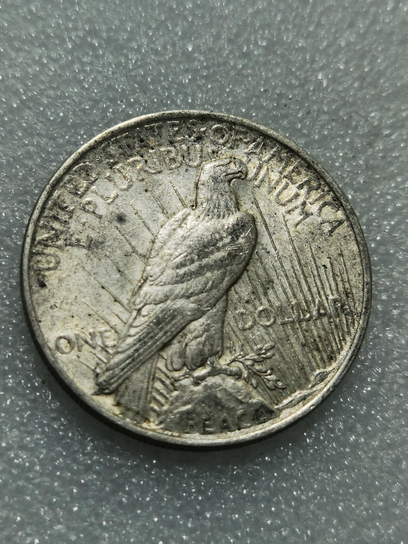 天下钱庄专场欢迎参拍 美国和平鸽一美元银币