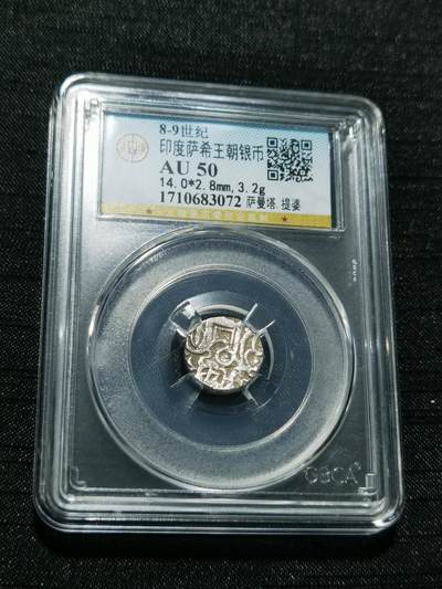 天下钱庄专场欢迎参拍 - 萨希王朝银币