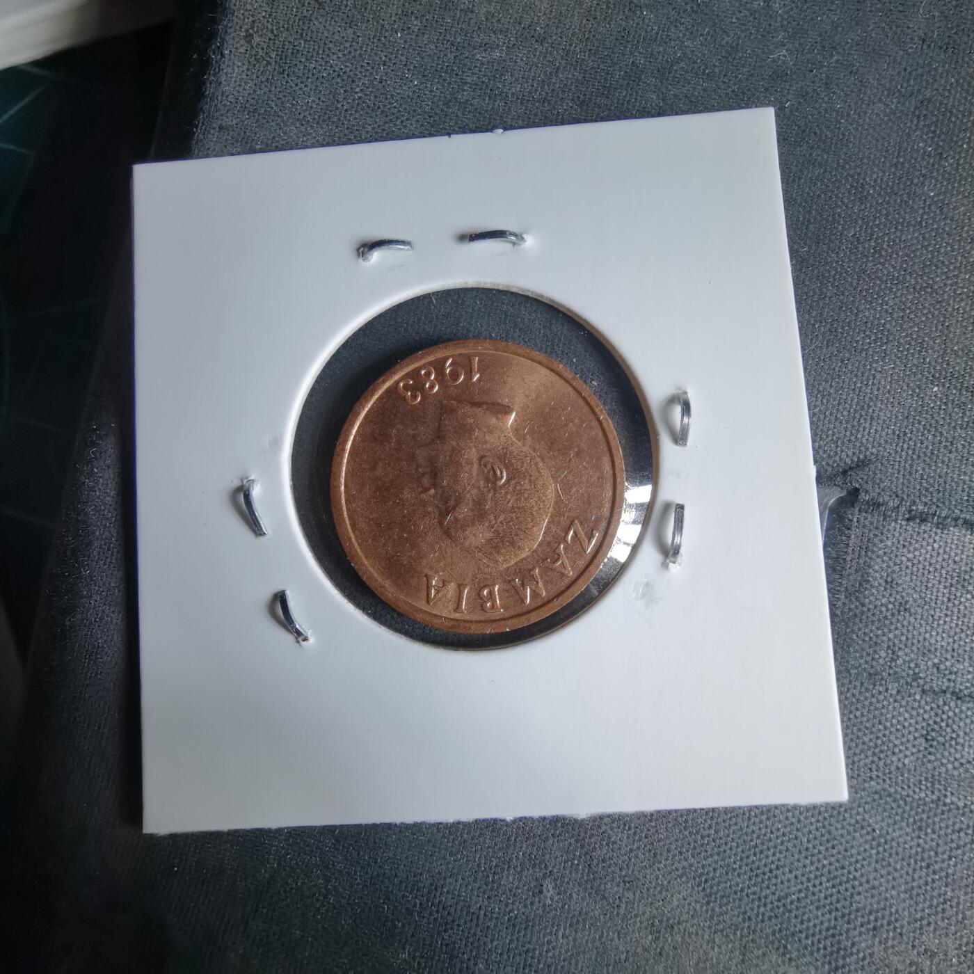 沼泽如烟--第987场