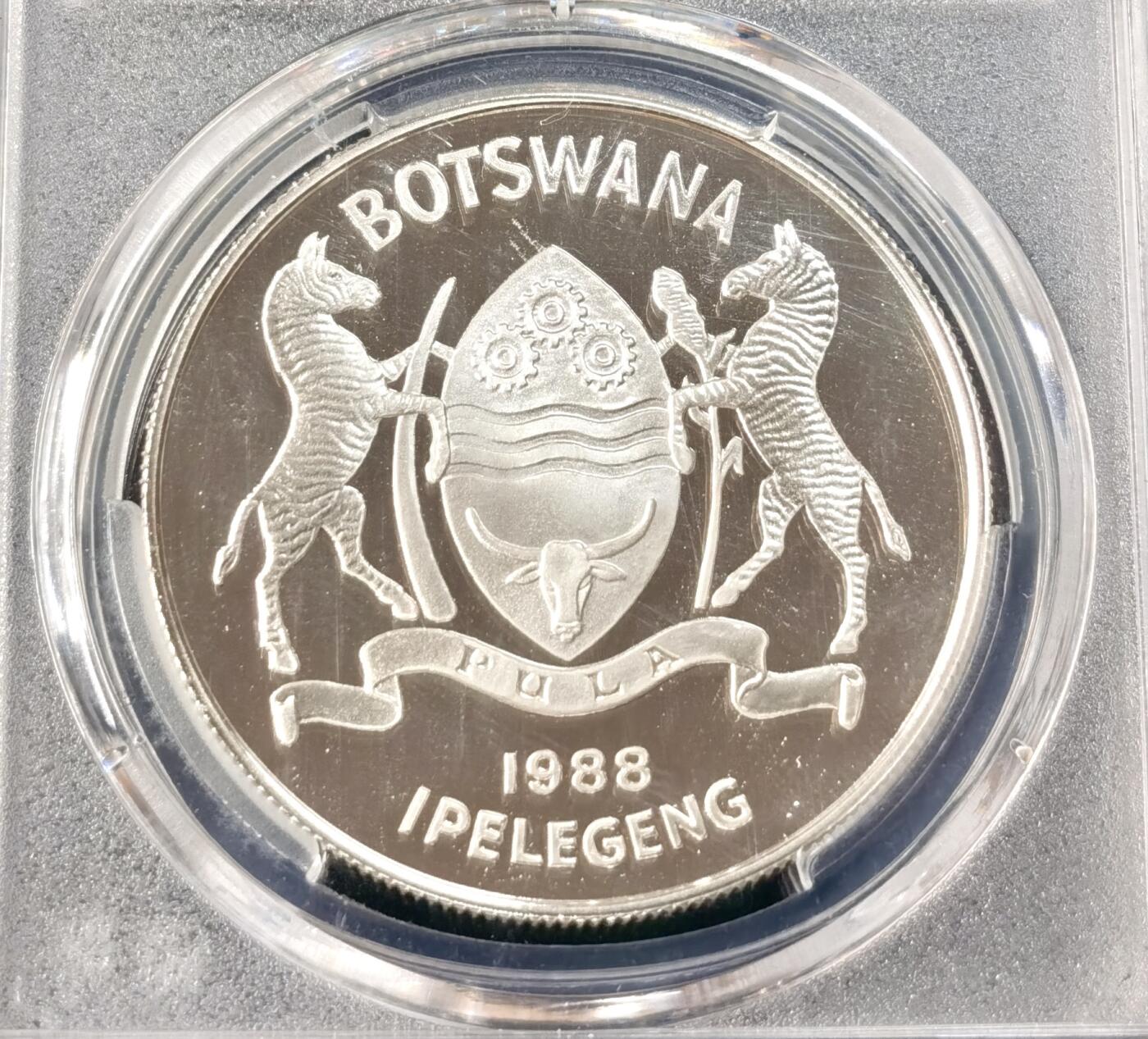 甄臻铺-世界币章拍卖（第49期）精品场拍品征集中，送拍享返佣金等优惠多多