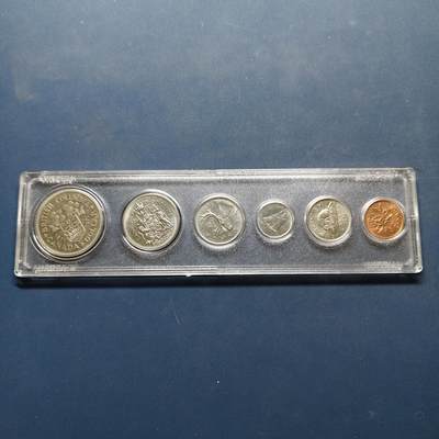 【全场包邮】纯粹捡漏拍500场-持续更新中 - 加拿大