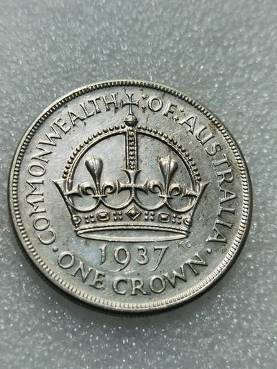 天下钱庄专场欢迎参拍 - 澳大利亚皇冠银币