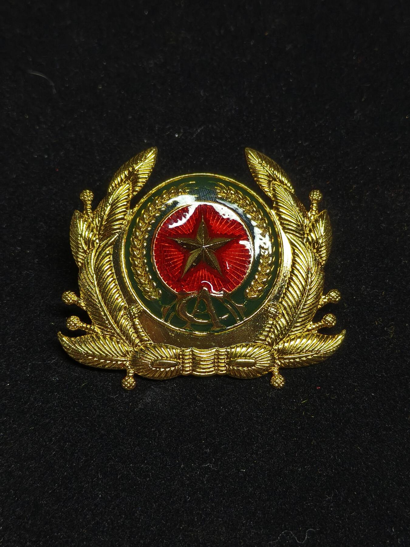 2026新年第一场  越南公安帽徽 铜镀金